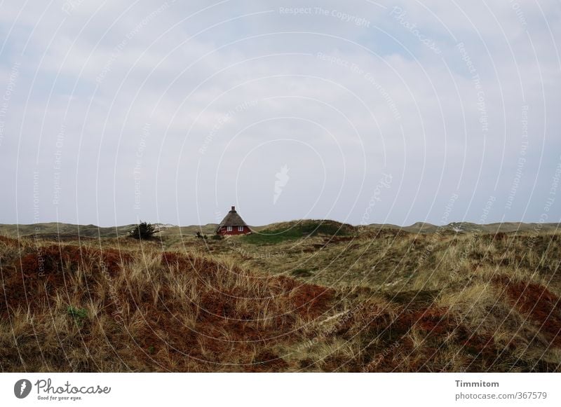 Häuschen. Ferien & Urlaub & Reisen Umwelt Landschaft Pflanze Himmel Wolken Wetter Nordsee Dänemark Haus Ferienhaus ästhetisch einfach natürlich blau braun grün