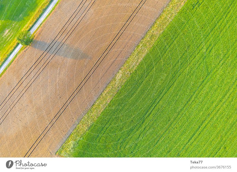 eine Agrarlandschaft von oben Landwirtschaft Landschaft Bauernhof Wiese Feld Geometrie Bereiche Gras Weizen moderne Landwirtschaft Baum