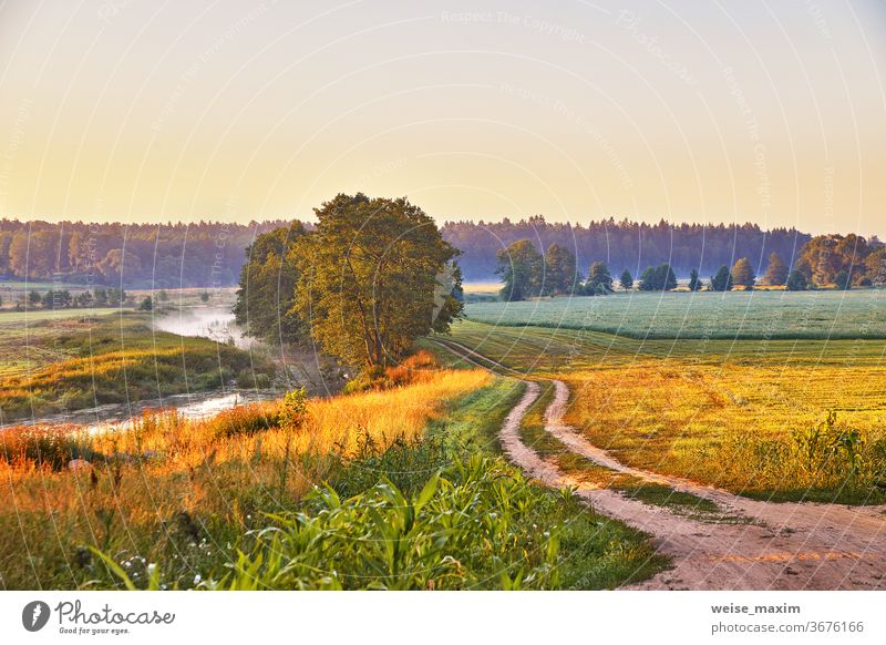 Unbefestigte Straße auf einer Wildwiese am Flussufer im Morgennebel. Ländliche Sommerlandschaft Wiese Sonnenaufgang Sonnenlicht ländlich Nebel Gras Natur