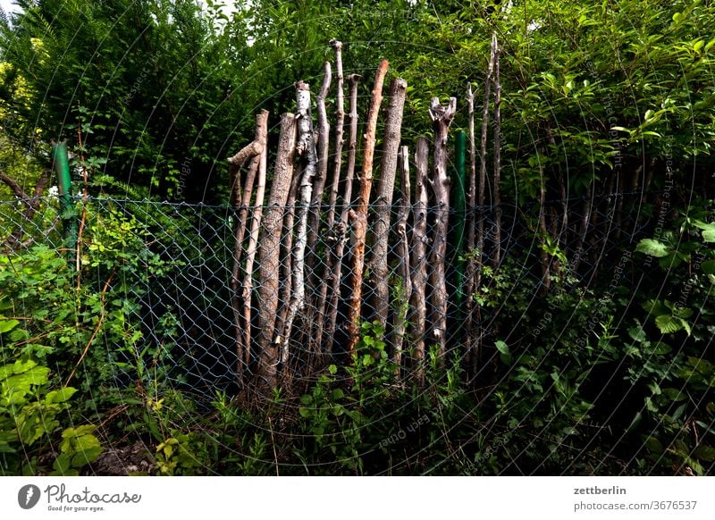 Äste ast baum erholung ferien garten kleingarten kleingartenkolonie menschenleer natur pflanze ruhe schrebergarten sommer stamm strauch textfreiraum