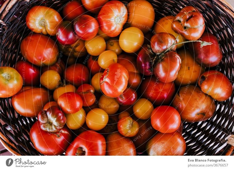 Draufsicht auf eine Holzkiste mit Tomaten, Konzept der gesunden Ernährung. Natur Gemüsegarten niemand rot Gesundheit Lebensmittel Gartenarbeit essbar Single