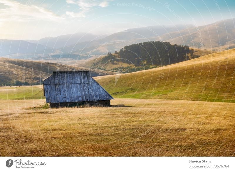 Berglandschaft in schöner Spätsommer- oder Herbstumgebung Ackerbau Tier Scheune Land Landschaft Kuh Kühe Ernte Ausflugsziel Umwelt fallen Bauernhof Feld Gras