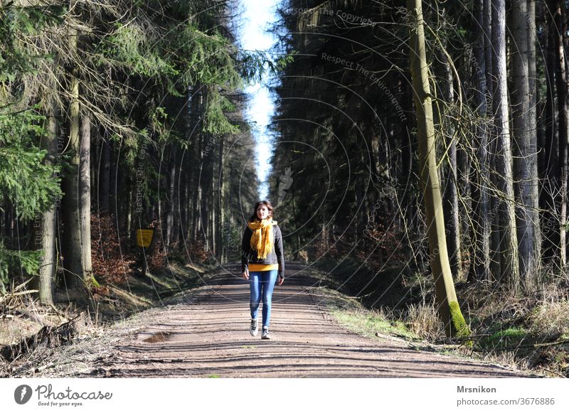 wandern Wanderung Wald Waldweg Forstweg Außenaufnahme Ausflug Wege Pfade Ferien Erholung Farbfoto Bäume Frühling draußen Landschaft Natur