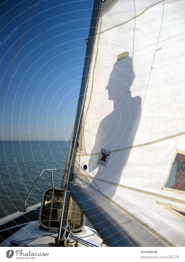 Seglerprofil Segeln Wasserfahrzeug Kapitän Silhouette See Österreich Bundesland Burgenland Sommer Ferne Schifffahrt Schatten Profil Neusiedlersee Sonne