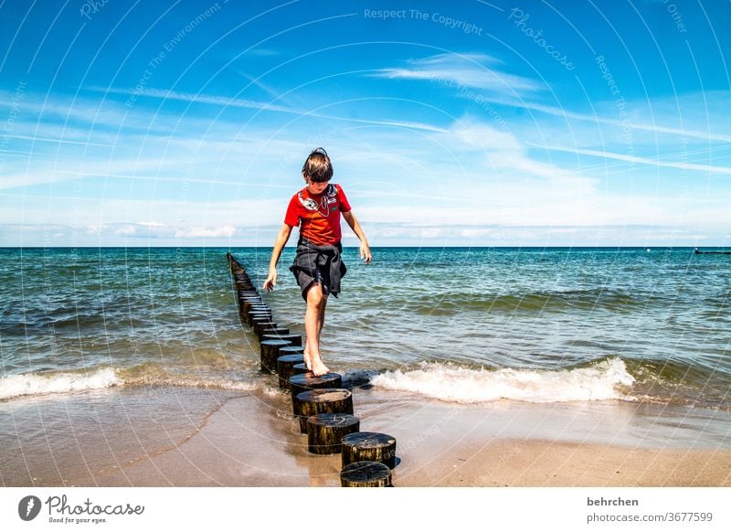 balanceakt entspannen erholen Spielen Wolken frei Freiheit Fischland-Darß genießen Deutschland Ostseeküste Tourismus balancieren Buhne Erholung Landschaft