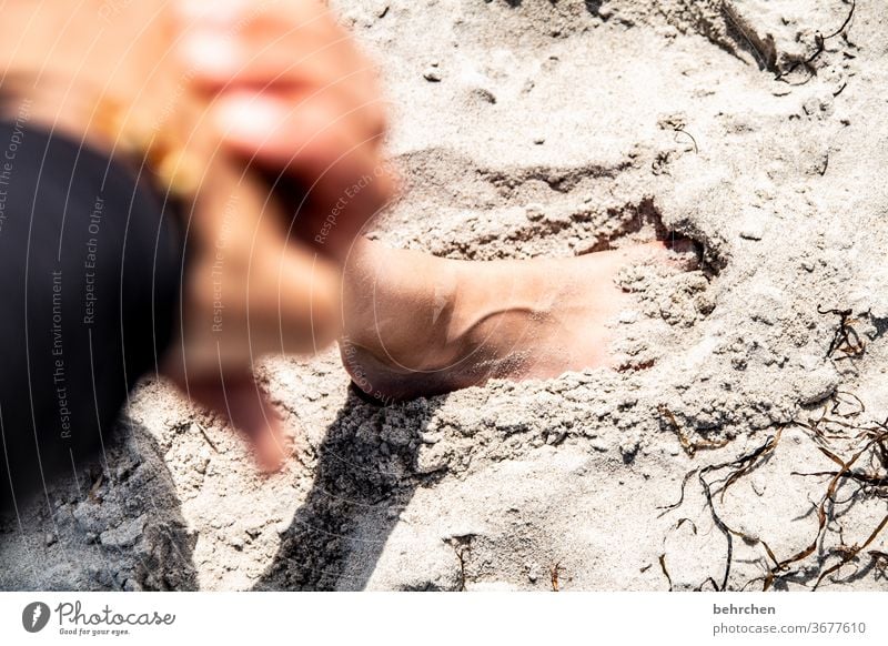 spuren hinterlassen Außenaufnahme Sand Fuß glücklich Glück Familie Zusammensein festhalten Finger Gefühle nähe gemeinsam Vertrauen Zufriedenheit beschützen