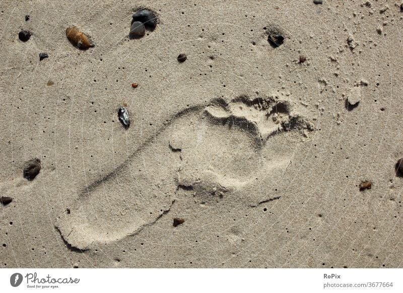 Barfuss am Strand ist immer schön. beach Küste Meer sea Ozean Sandstrand Spur Fuß foot Fußabdruck Urlaub Küstenwanderung Erholung Ruhe Entspannung Strandurlaub