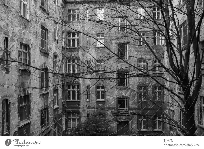 Hinterhof Berlin Prenzlauer Berg Schwarzweißfoto Hof Menschenleer Tag Stadtzentrum Hauptstadt Altstadt Außenaufnahme Haus Fenster Altbau Bauwerk Gebäude Fassade