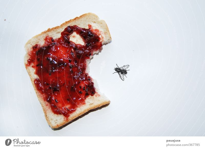 Marmeladenrache Lebensmittel Brot Süßwaren Toastbrot Frühstück Fliege Entsetzen Wut Ärger Aggression Angst bizarr Surrealismus Rache David und Goliath unsinnig