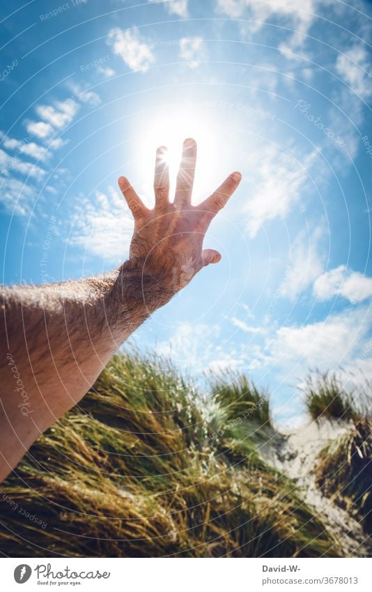 Die Hand der Sonne entgegenstrecken - geblendet von den Sonnenstrahlen Sonnenlicht Dünen dünenlandschaft Dünengras Sonnenschein Sonnenstern schön besonders