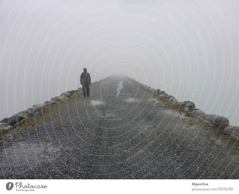 back to the roots | zurück in die Ursuppe Nebel ungewiss Ungewisse Zukunft Außenaufnahme ins licht Wege & Pfade letzter weg Tod Todesangst gehen geheimnisvoll