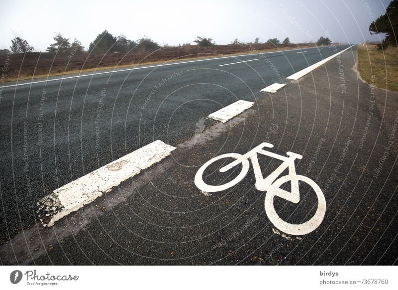 Fahradweg neben einer Schnellstraße. Kennzeichnung Fahrradweg Straße Fahrbahnmarkierung Symbol Gefahr Landstraße Infrastruktur paralell Verkehrswege