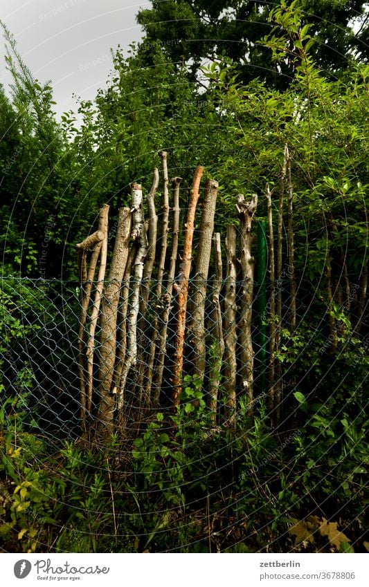 Äste hinter Maschendraht ast baum garten kleingarten kleingartenkolonie menschenleer natur pflanze ruhe schrebergarten sommer stamm strauch textfreiraum