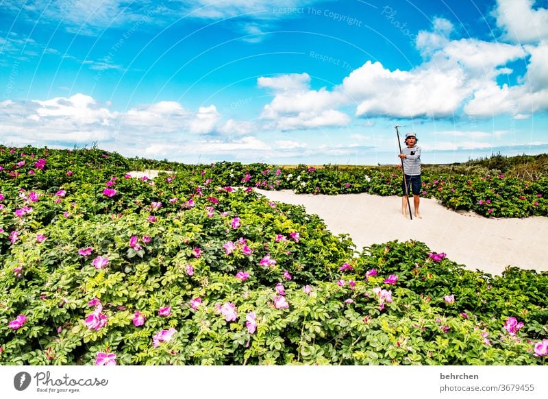 king of the beach Fröhlichkeit toben Spielen Zufriedenheit glücklich Glück Deutschland Mecklenburg-Vorpommern Ostseeküste Tourismus Erholung Fischland-Darß