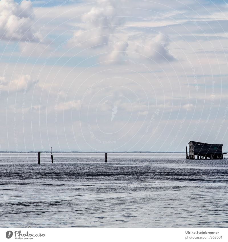 Laguna Ferien & Urlaub & Reisen Tourismus Städtereise Kreuzfahrt Meer Wellen Natur Wasser Himmel Wolken Horizont Mittelmeer Venedig Italien Hafenstadt Hütte