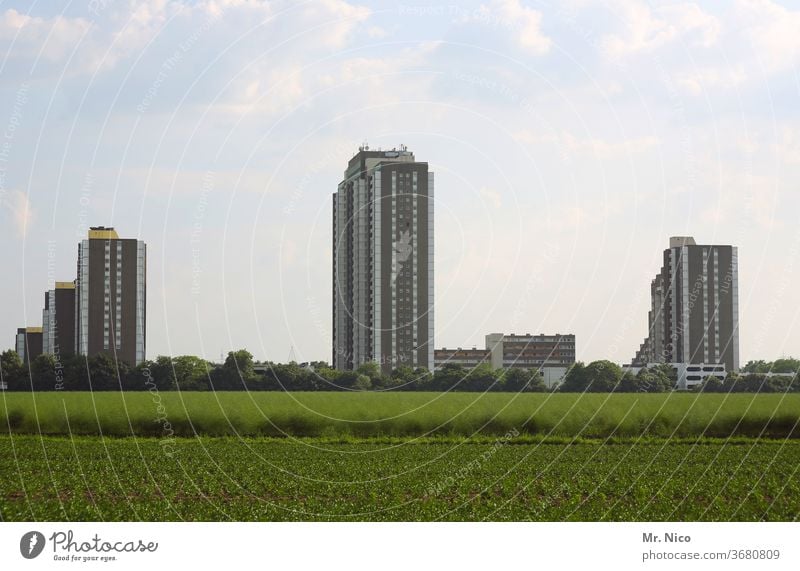 Architektur und Natur I Stadt aufm Land Hochhaus mietshaus Himmel Feld Landwirtschaft Wachstum Landschaft Pflanze Umwelt Ackerbau Nutzpflanze Plattenbau Block