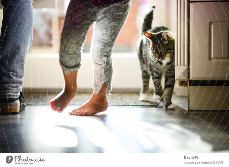 aus der Sicht einer Katze Hauskatze katzenhaft Katzenfreund drinnen Boden Erde fußboden schön Starke Tiefenschärfe Bewegung Füße Personen Menschen Haustier