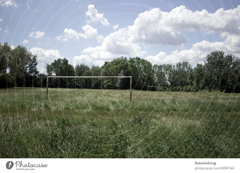 der alte Bolzplatz Sport Ballsport Fußball Sportstätten Fußballplatz Umwelt Natur Landschaft Pflanze Himmel Wolken Sommer Wetter Schönes Wetter Wärme Baum Gras