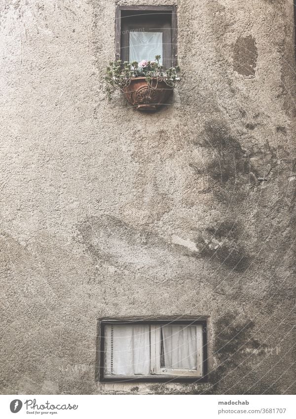 Blumenmeer Fassade Haus Fenster kaputt alt trist Verfall renovieren Renovieren Vergänglichkeit Mauer Ruine Vergangenheit Zerstörung Gebäude Außenaufnahme