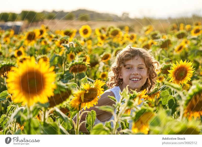 Nettes Kind in blühenden Sonnenblumenfeld Junge Feld genießen Sommer Blume Wiese Blütezeit Natur Freude Glück Lächeln Landschaft heiter grün gelb Farbe lebhaft