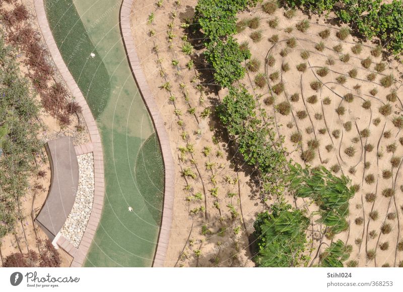 bewässerter Garten Gärtner Gärtnerei Landschaft Pflanze Dürre Baum Sträucher Grünpflanze Park Wüste Gartenbau dehydrieren Wachstum heiß trocken braun grau grün