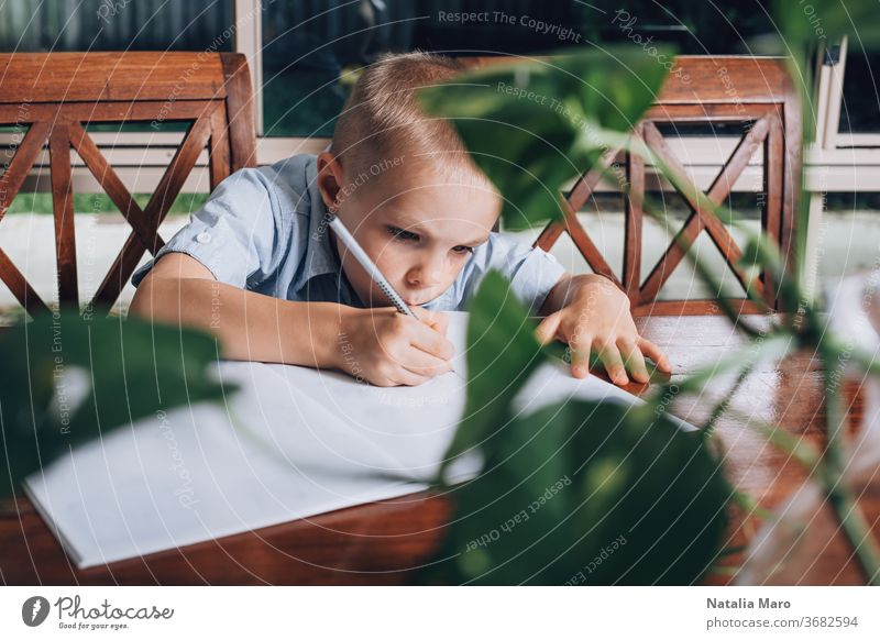 Kleines Kind, das zu Hause in einem Lehrbuch zeichnet, ein Junge, der Stift hält und schreibt. Unscharfe Monsterpflanze im Vordergrund. heimwärts Tisch Bildung