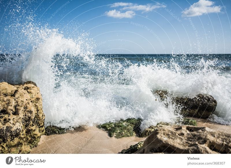 cool water Natur Landschaft Urelemente Wasser Himmel Sommer Schönes Wetter Wellen Küste Strand Meer Erholung Ferien & Urlaub & Reisen träumen Coolness frisch