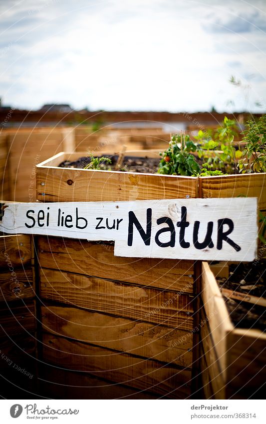 Sei lieb zur Natur Umwelt Sommer Schönes Wetter Pflanze Garten Stadtzentrum Menschenleer Parkhaus Dach Sehenswürdigkeit Gefühle Stimmung Freude Glück