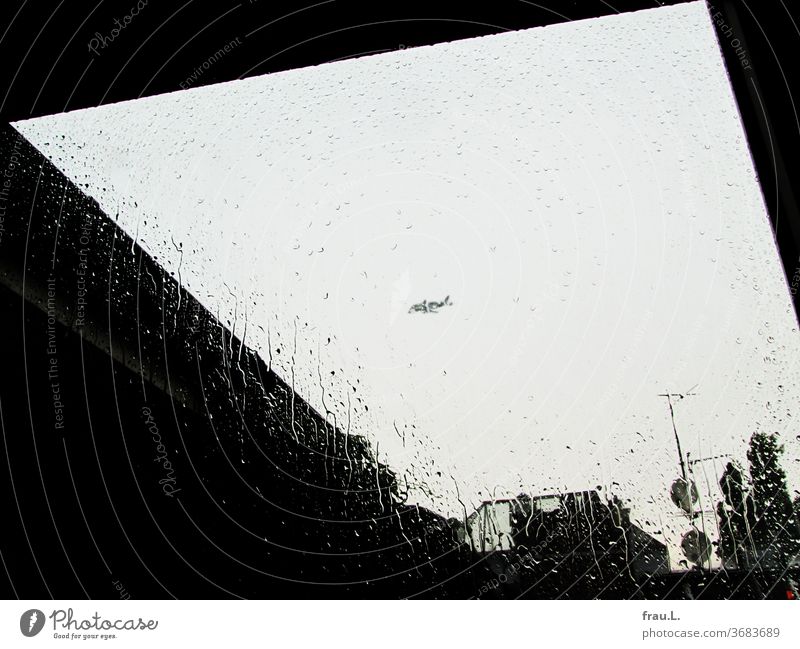 Als es regnete schwamm hoch am Himmel ein Beluga-Wal direkt an meinem Fenster vorbei. Flugzeug Regentropfen Dächer Pappel Baum Oberlicht Regenwetter