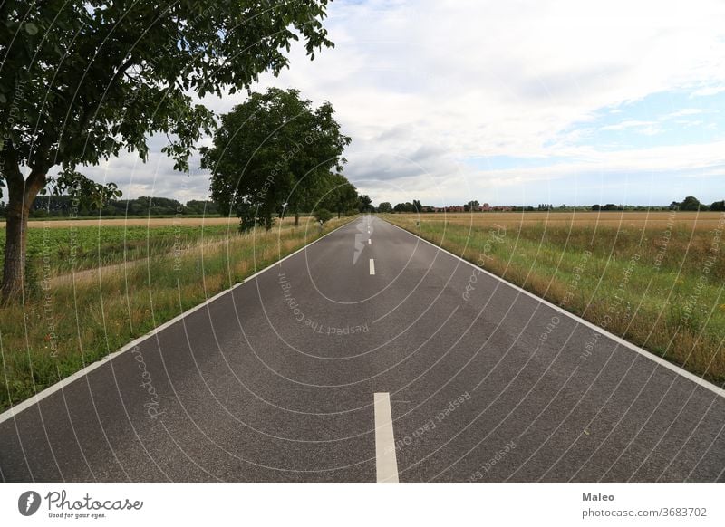 Ländliche Asphaltstraße wird am Horizont landen Hintergrund Land Landschaft Straße ländlich Himmel reisen blau Laufwerk Feld Gras Natur malerisch Sommer Weg