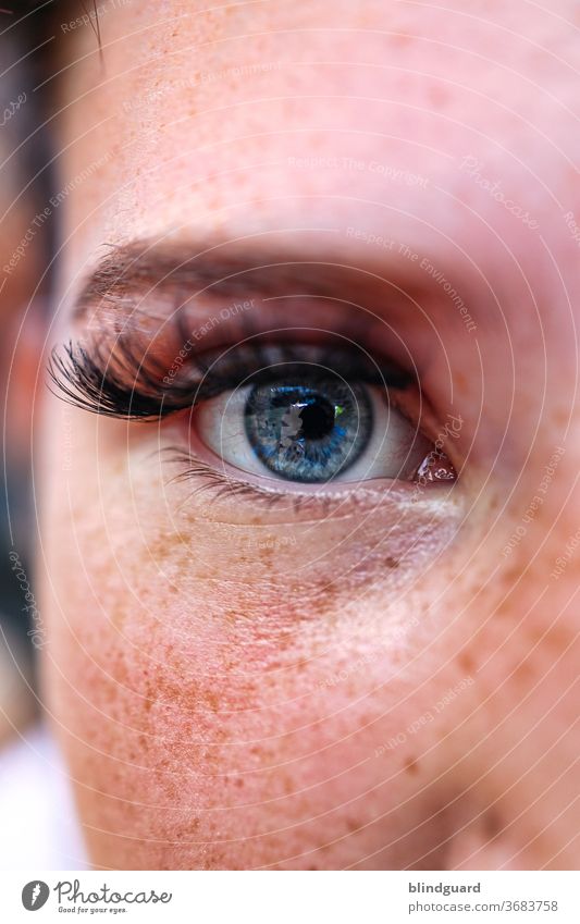 Behind Blue Eyes Augen Sommersprossen Wimpern Augenbraue Mensch Gesicht Frau Blick Nahaufnahme Haut Detailaufnahme Pupille Sehvermögen blau Sinnesorgane Linse