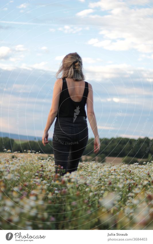 Junge Frau läuft über ein Kamillenfeld kamillenfeld Kamillenblüten Landschaft Natur jung schön Rückansicht rückenfrei schwarz Wald Wolken Himmel Sommer warm