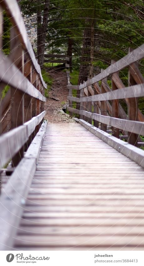 Holzweg Brücke Holzbrücke Geländer holzweg Wald wandern überbrückung Wege & Pfade Froschperspektive wanderweg Nadelwald Brückenschlag braun grün Bauwerk