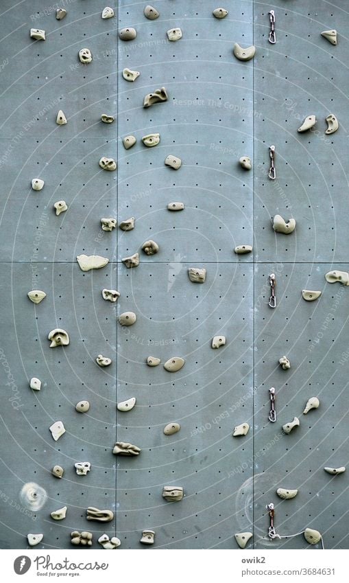 Greifen Sie zu Kletterwand Klettergriffe Lifestyle Fitness Kletteranlage Tag Bergsteigen Wand Freizeit & Hobby Farbfoto Sport Klettern Bouldern Kraft Kraftsport