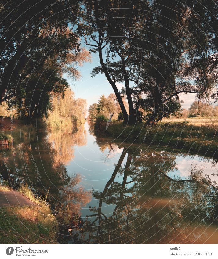 Uferlos Landschaft friedlich Idylle Wasser Baum Menschenleer ruhig Reflexion & Spiegelung Himmel Kleiner Spreewald Brandenburg geheimnisvoll Pflanze Sträucher