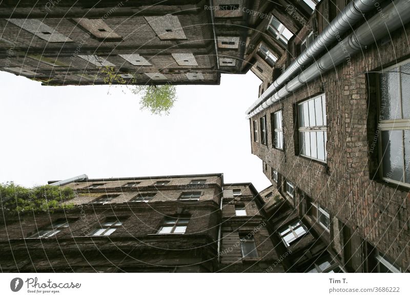 Hinterhof Berlin Blick nach oben Prenzlauer Berg Altbau Himmel Menschenleer Stadt Stadtzentrum Hauptstadt Altstadt Tag Haus Außenaufnahme Fenster Bauwerk