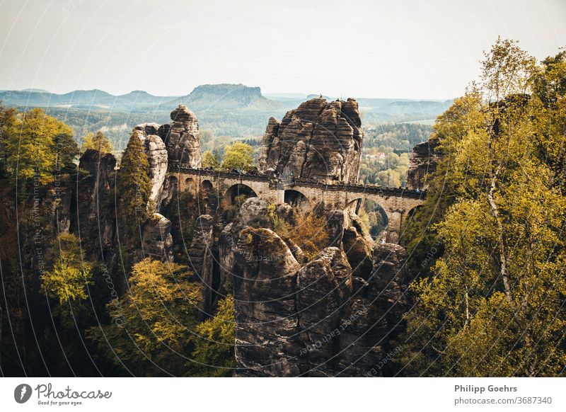 Basteibrücke Schönheit in der Natur keine Menschen Sonnenlicht Himmel Berge u. Gebirge Wachstum Brücke Sandstein Aussichtspunkt Sommer Warme Farben