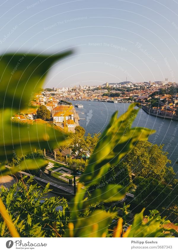 Porto Architektur Gebäudeaußenseite gebaute Struktur Großstadt Stadtbild Portugal Aussichtspunkt Vordergrund Tiefenschärfe Fluss Sommer Warme Farben