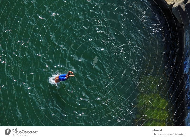 Kopfsprung ins Wasser Schwimmen & Baden springen Farbfoto Fluss Erfrischung Sommer Freude Mann spritzen tauchen nass Außenaufnahme Mensch Hitze