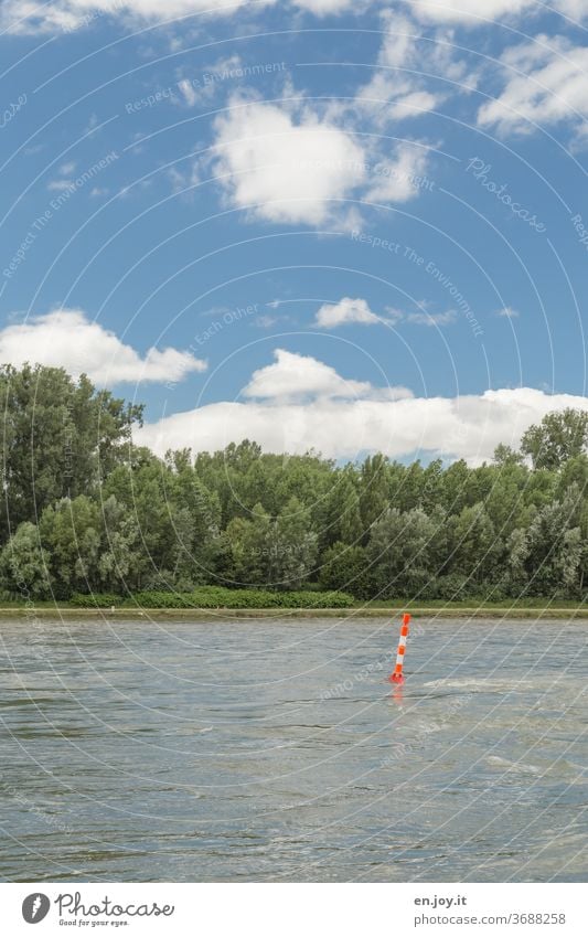 Der Rhein Fluss Flussufer Strom Wasser fließen Fließgewässer Boje Markierung Landschaft grün Wald Schilder & Markierungen Schifffahrt Gefahr Gefahrenstelle