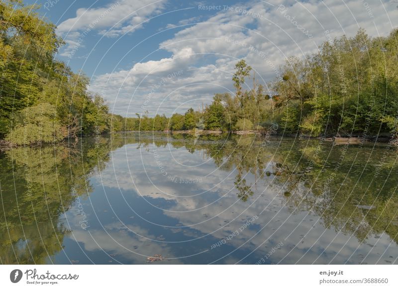 Spiegelung von Himmel und Bäumen im Altrhein Rheinauen Idylle Reflexion & Spiegelung Seeufer Wasserspiegelung Wolken Schönes Wetter Natur Wald grün Landschaft