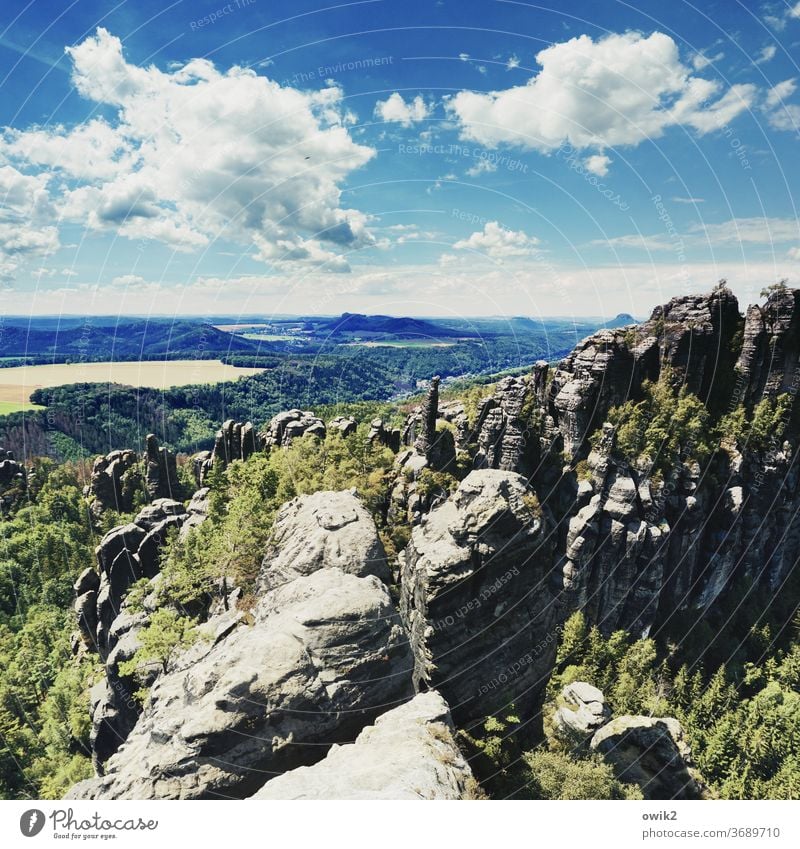 Schroffe Steine Elbsandsteingebirge Umwelt Tourismus Frühling Farbfoto Außenaufnahme Ferien & Urlaub & Reisen Menschenleer Tag Sandstein Natur Idylle Horizont