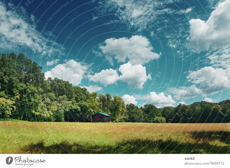 Randzone Umwelt Natur Landschaft Panorama (Aussicht) Textfreiraum oben Himmel Wolken Horizont Waldrand Schönes Wetter Baum Idylle Sommer Gras Farbfoto grün