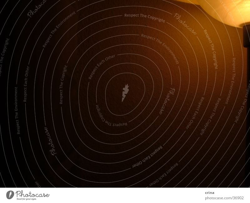 Lampe im Dunkeln Licht dunkel schwarz rechts Elektrisches Gerät Technik & Technologie hell orange oben