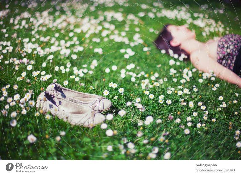 time-out Mensch feminin Junge Frau Jugendliche Erwachsene Leben 1 18-30 Jahre Umwelt Natur Landschaft Pflanze Frühling Sommer Schönes Wetter Blume Gras