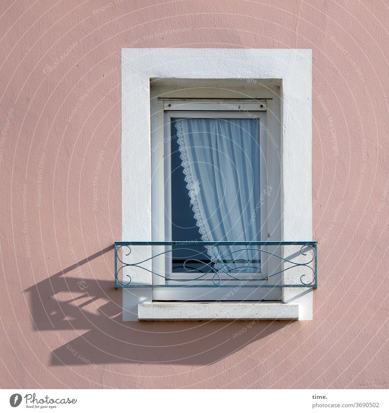 Bretonischer Hinterhof mit Fenstergardine und Rausfallsicherung im Herbst haus wand fenster nachbarn mauer putz licht schatten nachbarschaft hinterhof bauwerk