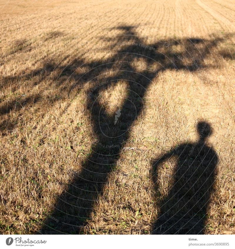 Schattentheater (6) mann schatten bewegung skurril sonnig sonnenlicht schattig acker landwirtschaft baum stehen