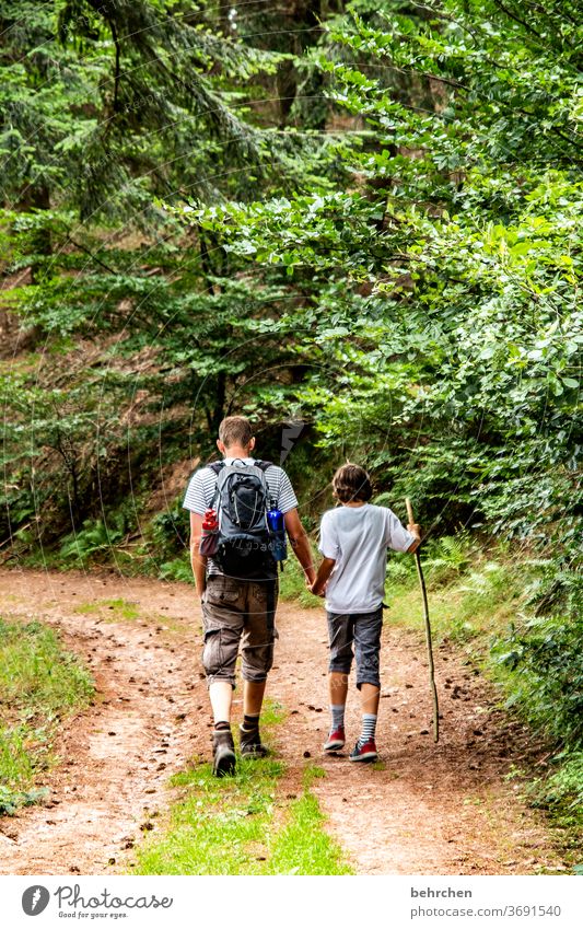 gemeinsam sein Glück Fröhlichkeit Freude Wege & Pfade Wanderer Natur Außenaufnahme Umwelt Zusammensein Sommer Familie & Verwandtschaft Hand in Hand Liebe Sohn