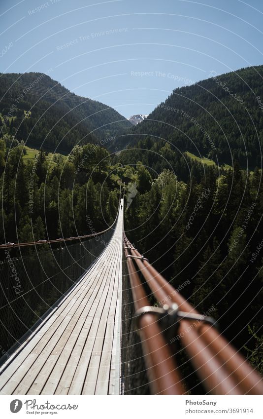 Hängebrücke Berge Wald Natur Alpen Sehenswürdigkeit Schweiz wallis grün braun Himmel Blauer Himmel