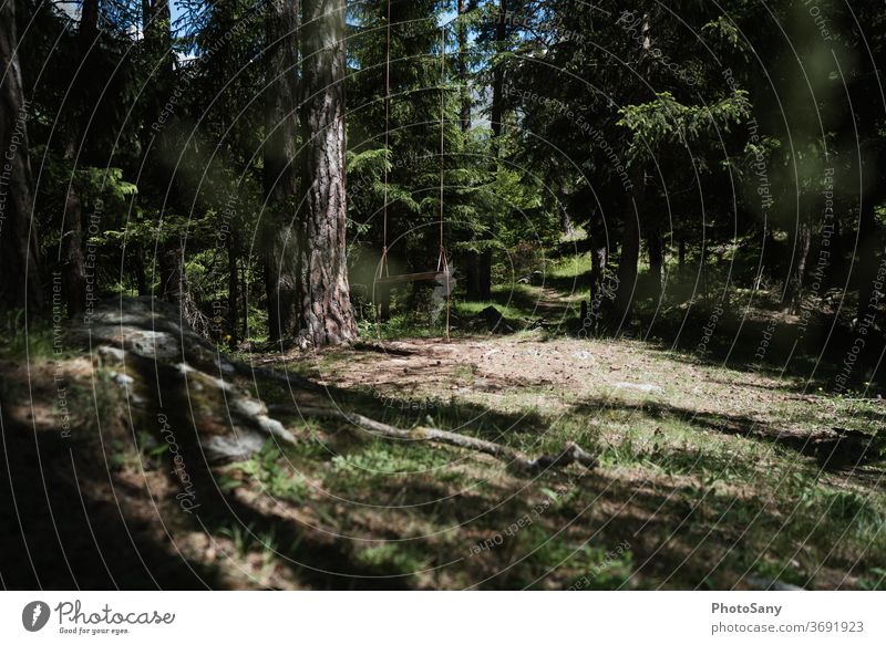 Schaukeln im Wald pendeln Waldlichtung Waldspielplatz grün Tannenwald Schweiz Wallis Waldboden braun